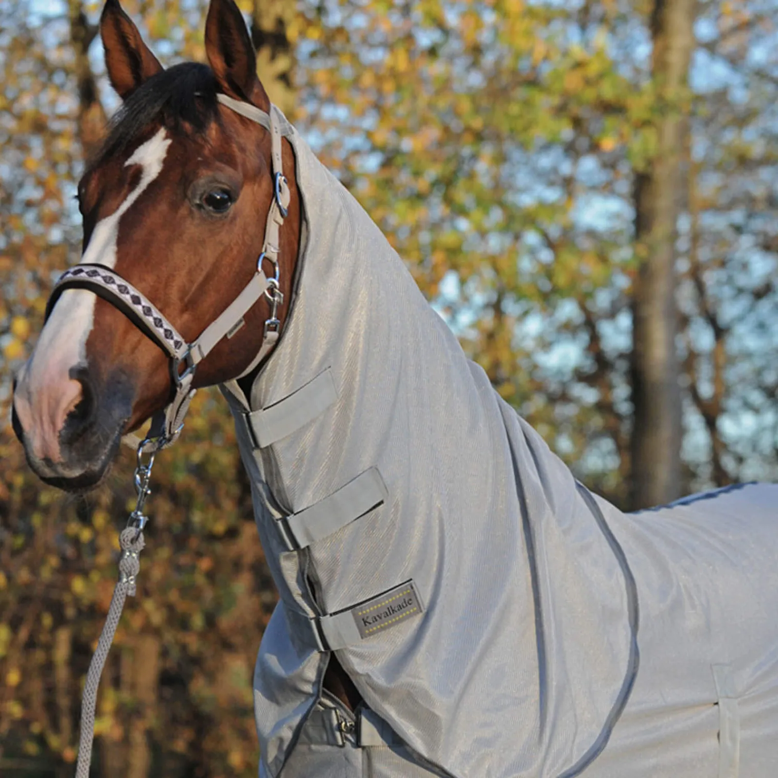 Hot Fly Rug with Removable Neck Fly Rugs|Fly Rugs