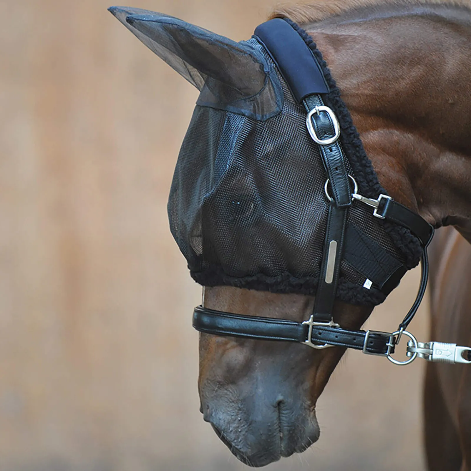 Outlet Flymask w/ neoprene sleeve at the top Fly Masks & Fringes|Fly Masks & Fringes