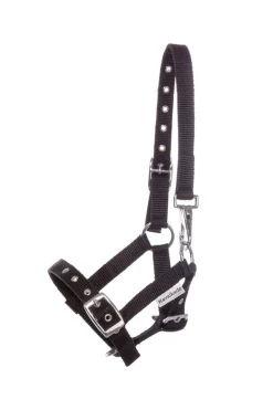 Discount Foal & Yearling Halter Headcollars & Halters