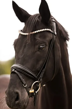 Fashion Fortuna KavalSH4 Bridle Pony Bridles & Halters|Bridles & Nosebands
