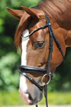 New Grey Bridle Pony Bridles & Halters|Bridles & Nosebands
