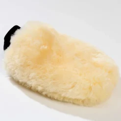 Clearance Grooming glove Grooming Accessories