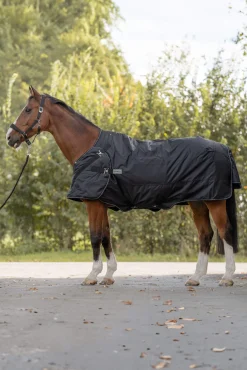 Discount Halifax 2in1 Turnout and Walker Rug 200g Medium & Heavyweight Turnout Rugs