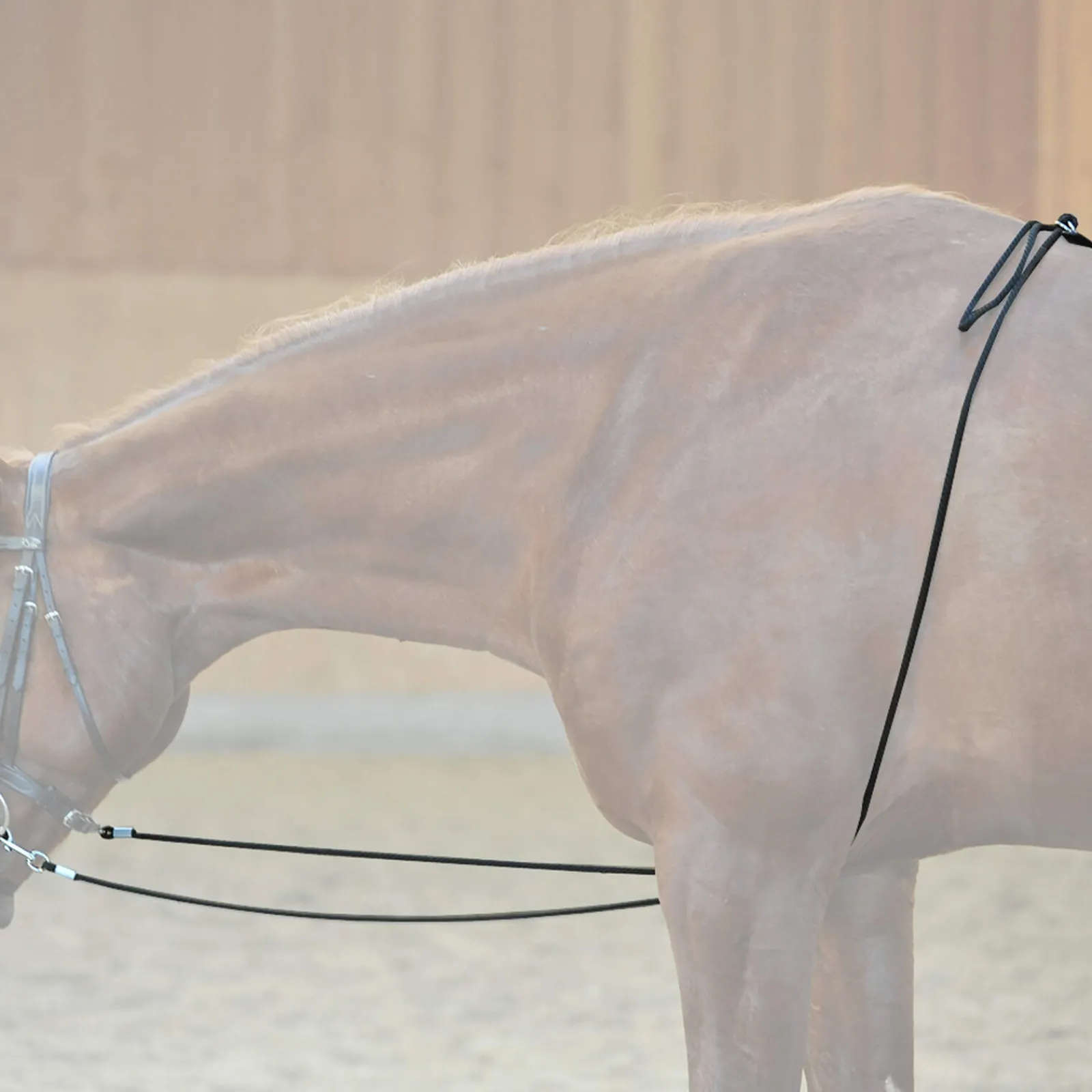 Outlet HO lungeing aid Lunge Lines & Lunging Ropes|Lunge Lines & Lunging Ropes