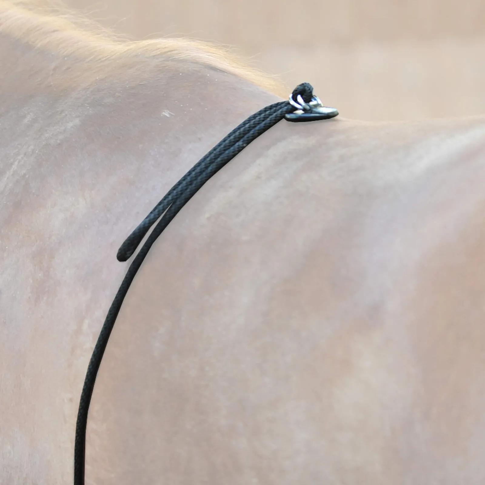 Outlet HO lungeing aid Lunge Lines & Lunging Ropes|Lunge Lines & Lunging Ropes