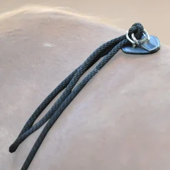 Outlet HO lungeing aid Lunge Lines & Lunging Ropes|Lunge Lines & Lunging Ropes