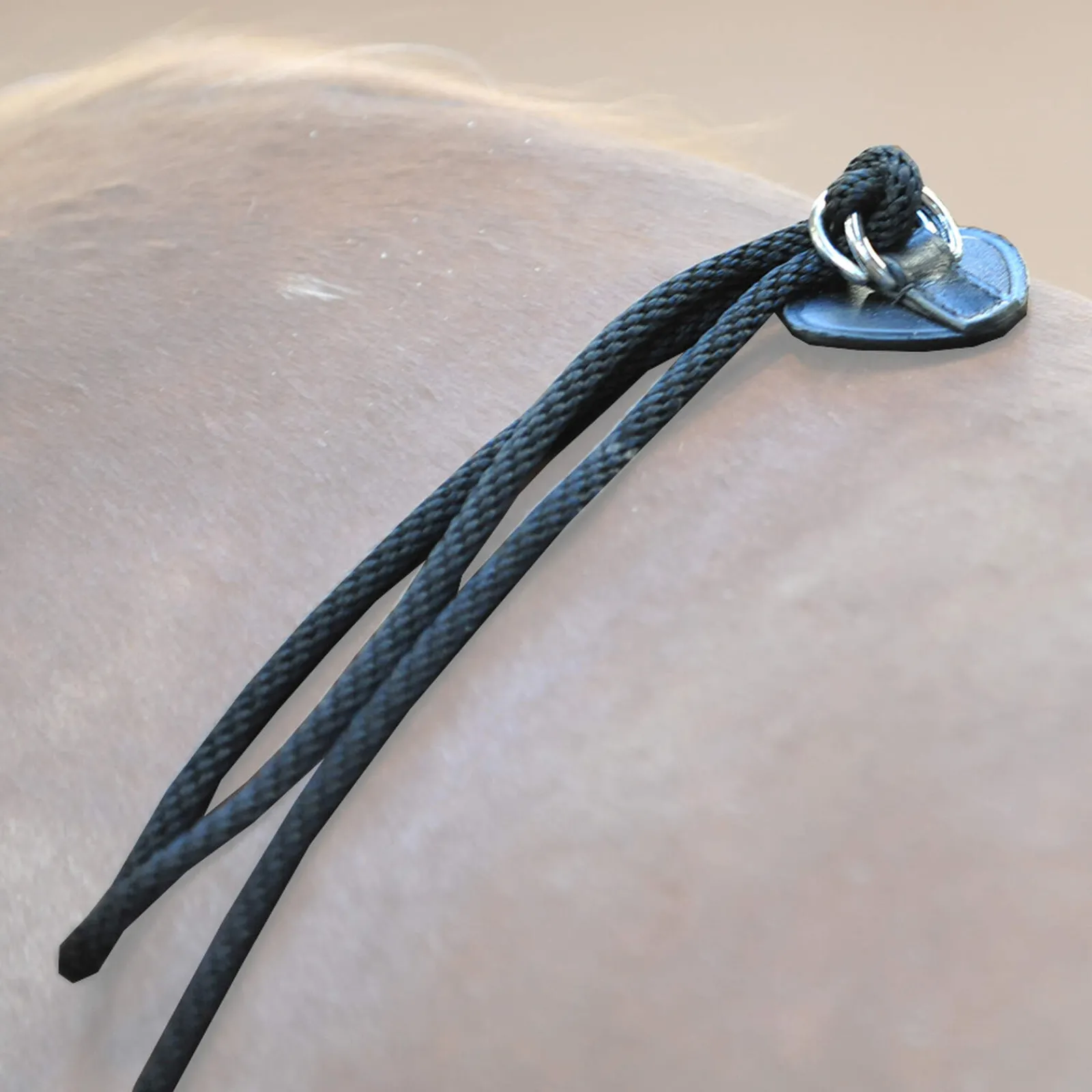 Outlet HO lungeing aid Lunge Lines & Lunging Ropes|Lunge Lines & Lunging Ropes