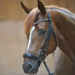 Fashion Isabella Bridle with Drop Noseband Pony Bridles & Halters|Bridles & Nosebands