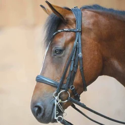 Discount Ivonnne (Double) Bridle Bridles & Nosebands