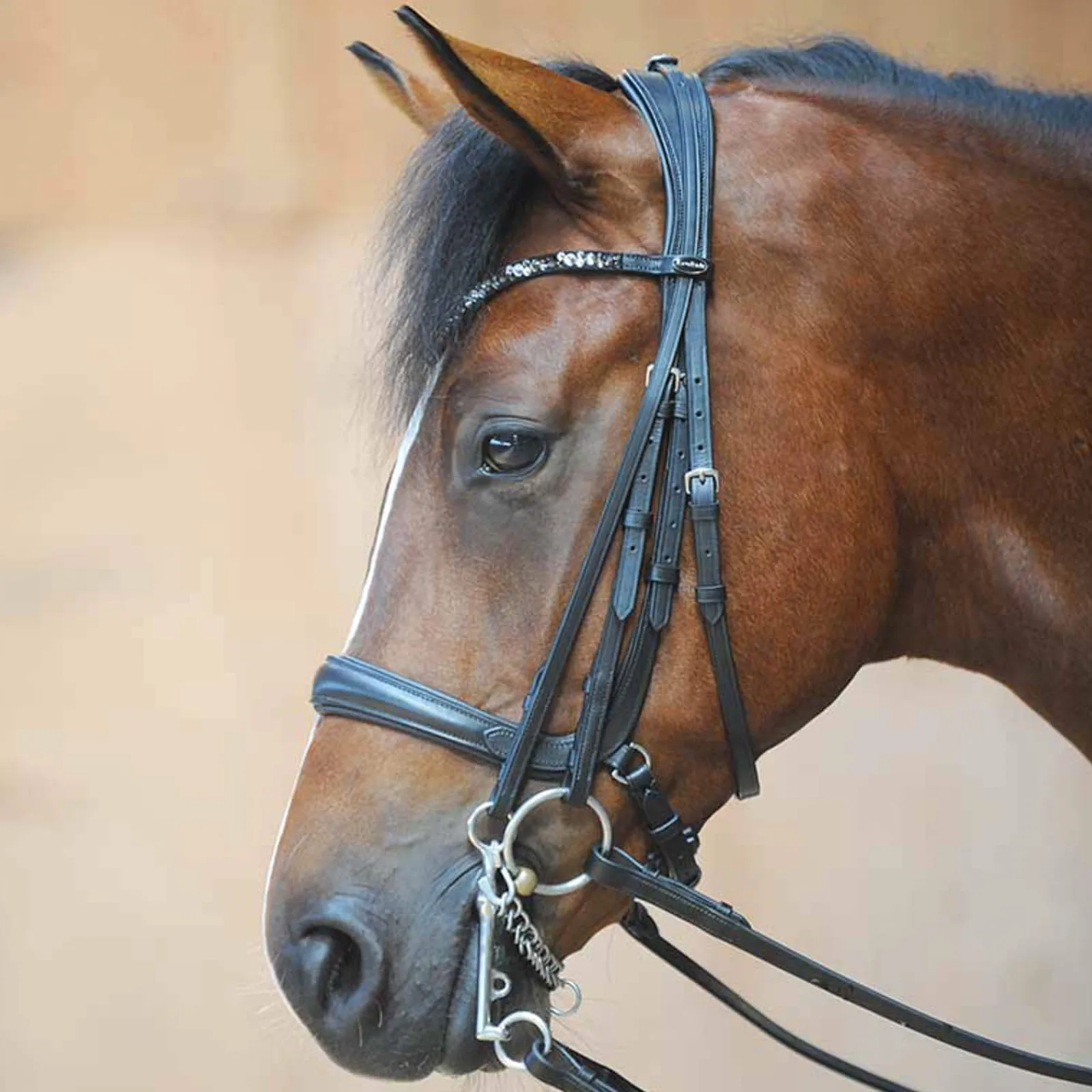 Discount Ivonnne (Double) Bridle Bridles & Nosebands