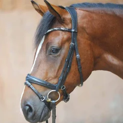 Discount Ivonnne (Double) Bridle Bridles & Nosebands
