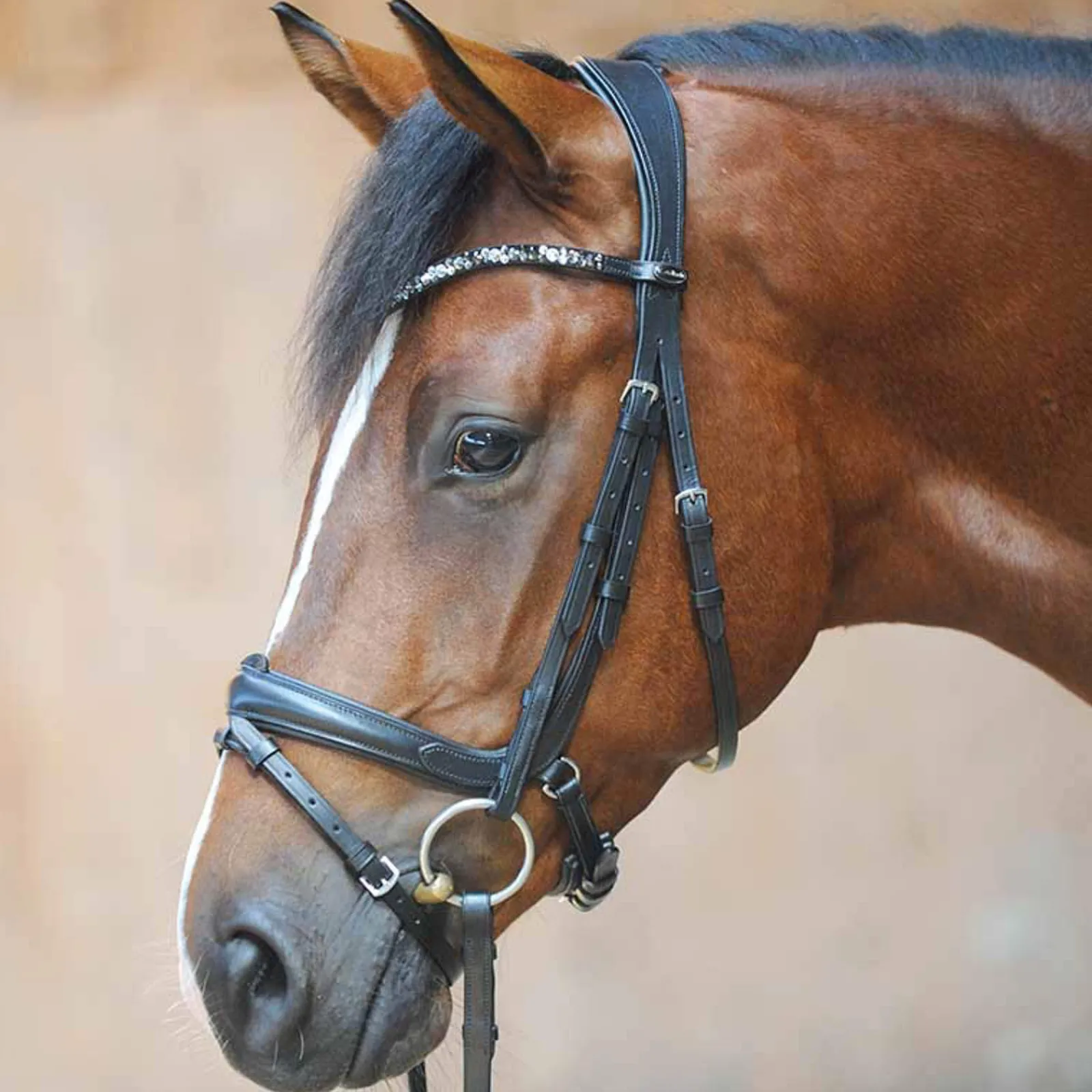 Discount Ivonnne (Double) Bridle Bridles & Nosebands