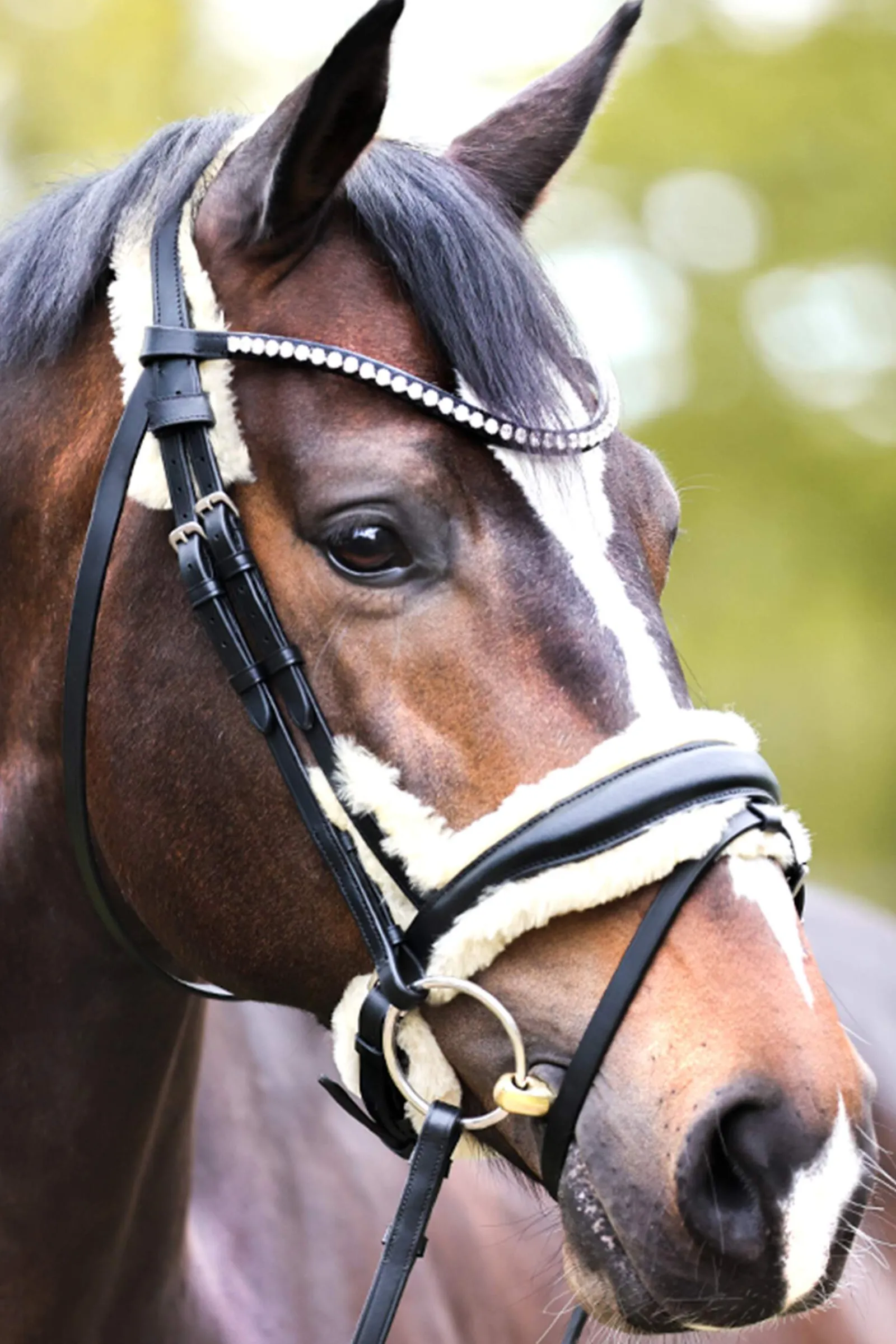 Discount Joyce KavalSH4 Bridle Pony Bridles & Halters|Bridles & Nosebands