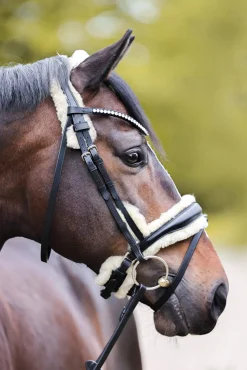 Discount Joyce KavalSH4 Bridle Pony Bridles & Halters|Bridles & Nosebands