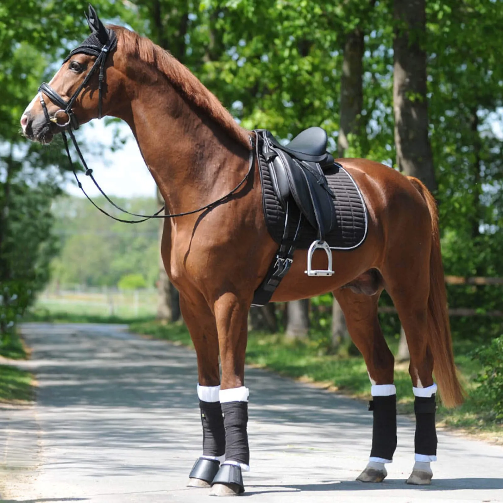 Discount KavalEasy Strass Dressage Saddle Pad Dressage Saddle Pads