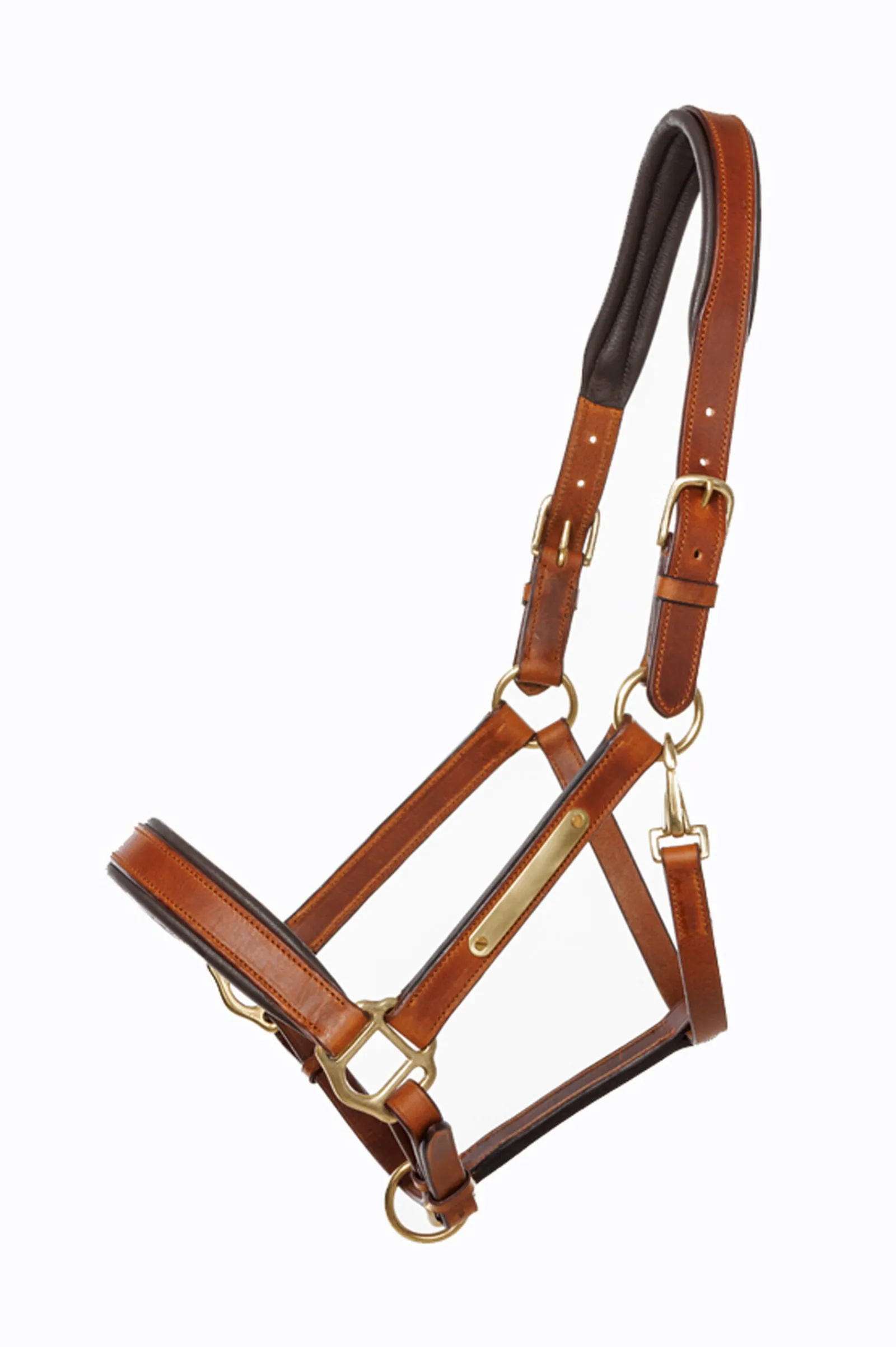 New Leather halter Cinta Leather Headcollars