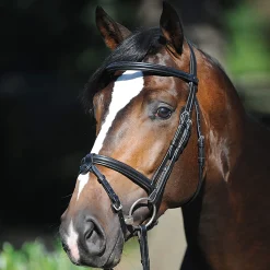 New Lorenz Bridle Pony Bridles & Halters|Bridles & Nosebands