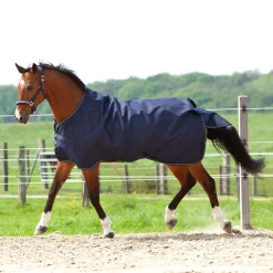 New Montreal Turnout Rug, 200g Medium & Heavyweight Turnout Rugs