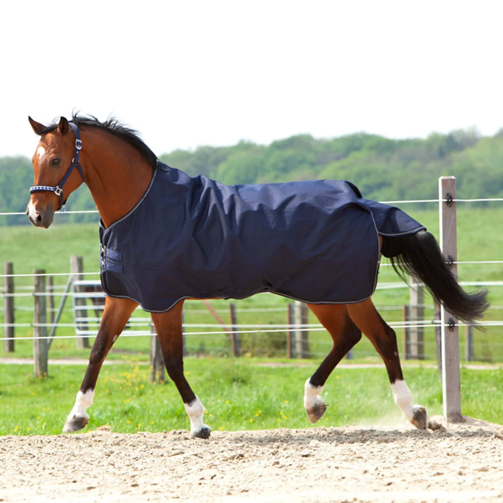 Sale Montreal Turnour Rug, 0g Lightweight Turnout Rugs