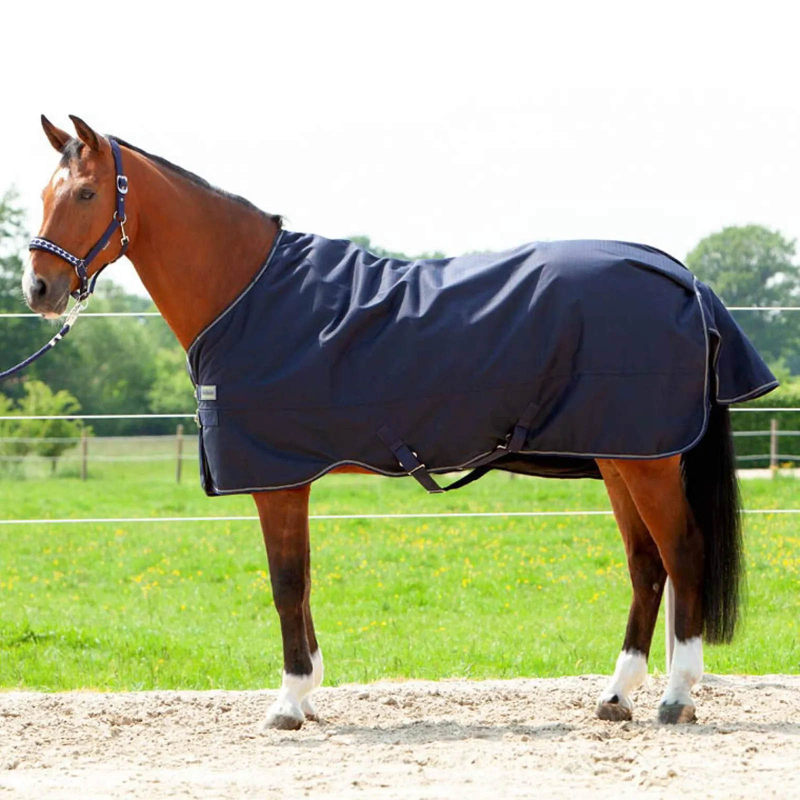 Sale Montreal Turnour Rug, 0g Lightweight Turnout Rugs