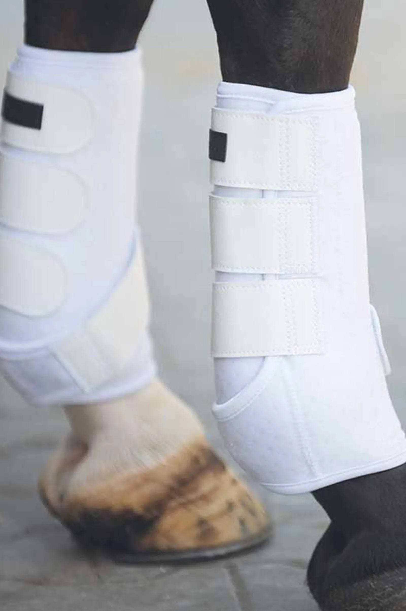 New Neoprene wrap boots Horse Boots