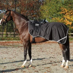 Clearance Rain Exercise Sheet Exercise Sheets & Quarter Sheets