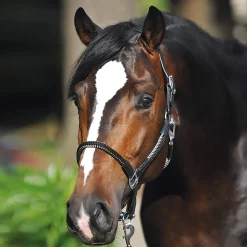 Outlet Rope halter set Cavo Headcollars & Halters