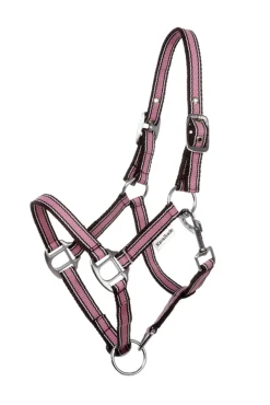 Best Shorty Shetty Halter Headcollars & Halters