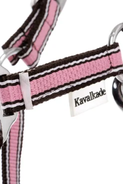 Best Shorty Shetty Halter Headcollars & Halters