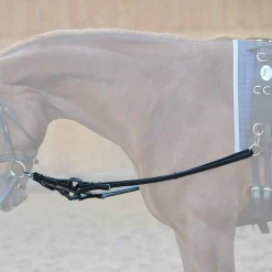 Online Side reins Auxiliary Reins & Lunging Aids|Auxiliary Reins & Lunging Aids