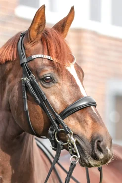 Fashion Sonya Weymouth Bridle Bridles & Nosebands