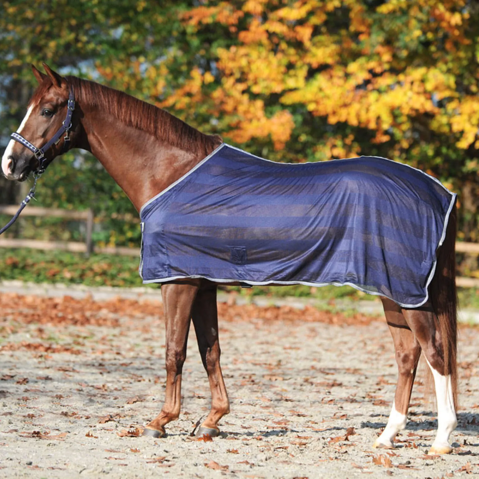 Sale Stripe Fly Rug Fly Rugs|Fly Rugs