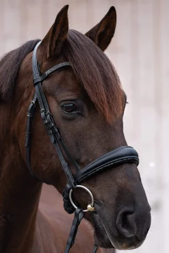 Discount Victoria Bridle Pony Bridles & Halters|Bridles & Nosebands