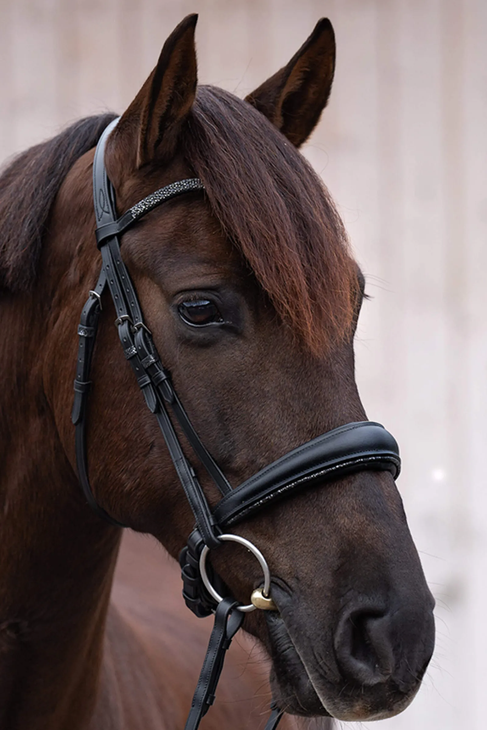 Discount Victoria Bridle Pony Bridles & Halters|Bridles & Nosebands