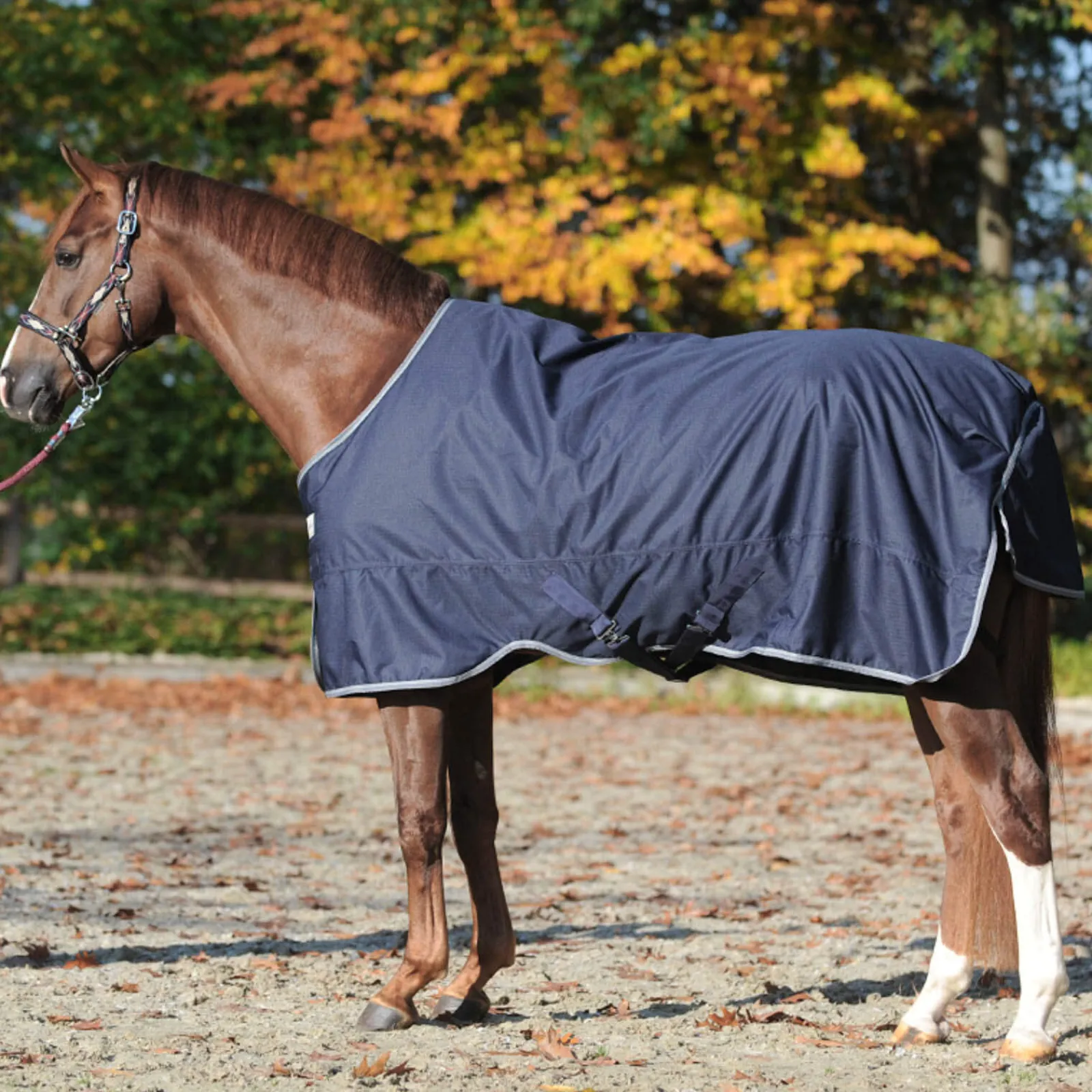 New Winnipeg Turnout Rug, 200g Medium & Heavyweight Turnout Rugs