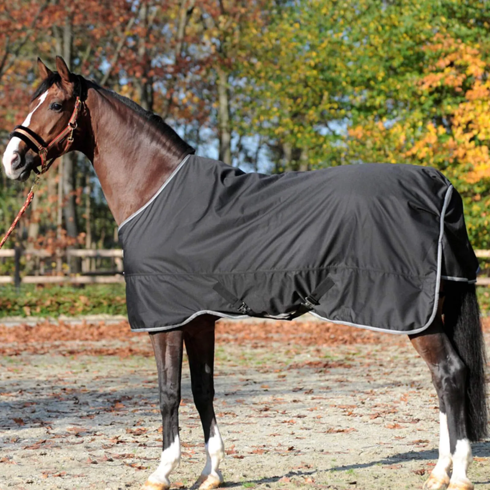 Fashion Winnipeg Turnout Rug, 50g Lightweight Turnout Rugs