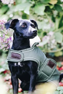 Fashion Kentucky Dogwear Dog Coat Waterproof Dog Rugs & Coats