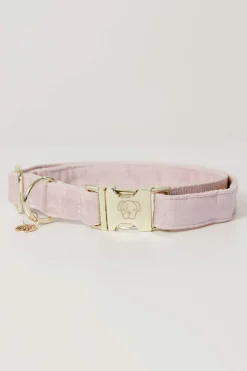 Hot Kentucky Dogwear Dog Collar Velvet Dog Collars