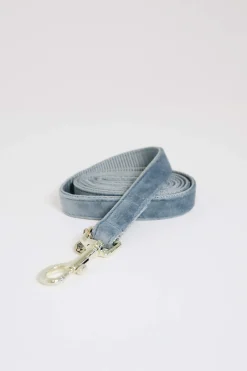 New Kentucky Dogwear Dog Lead Velvet Dog Collars
