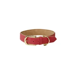 Outlet Kentucky Dogwear Soft Vegan Leather Collar Dog Collars