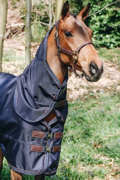 Fashion Horsewear All Weather Neck, 0g Horse Hoods