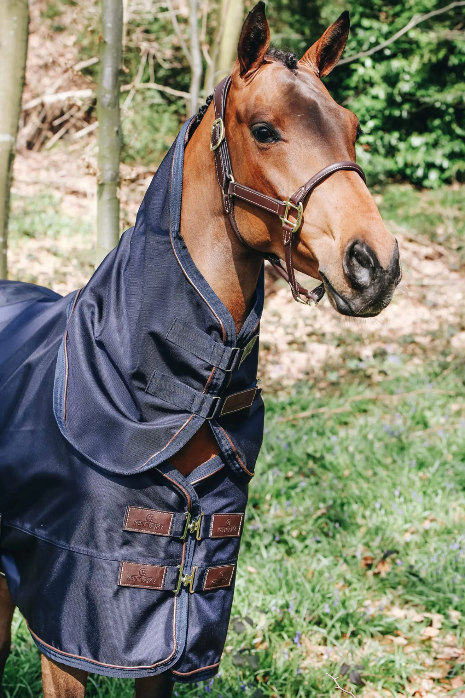 Fashion Horsewear All Weather Neck, 0g Horse Hoods