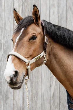 New Horsewear Anatomic Nylon Halter Headcollars & Halters