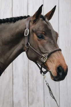 Discount Horsewear Anatomic Leather Halter Leather Headcollars