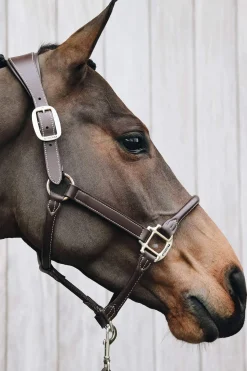 Discount Horsewear Anatomic Leather Halter Leather Headcollars