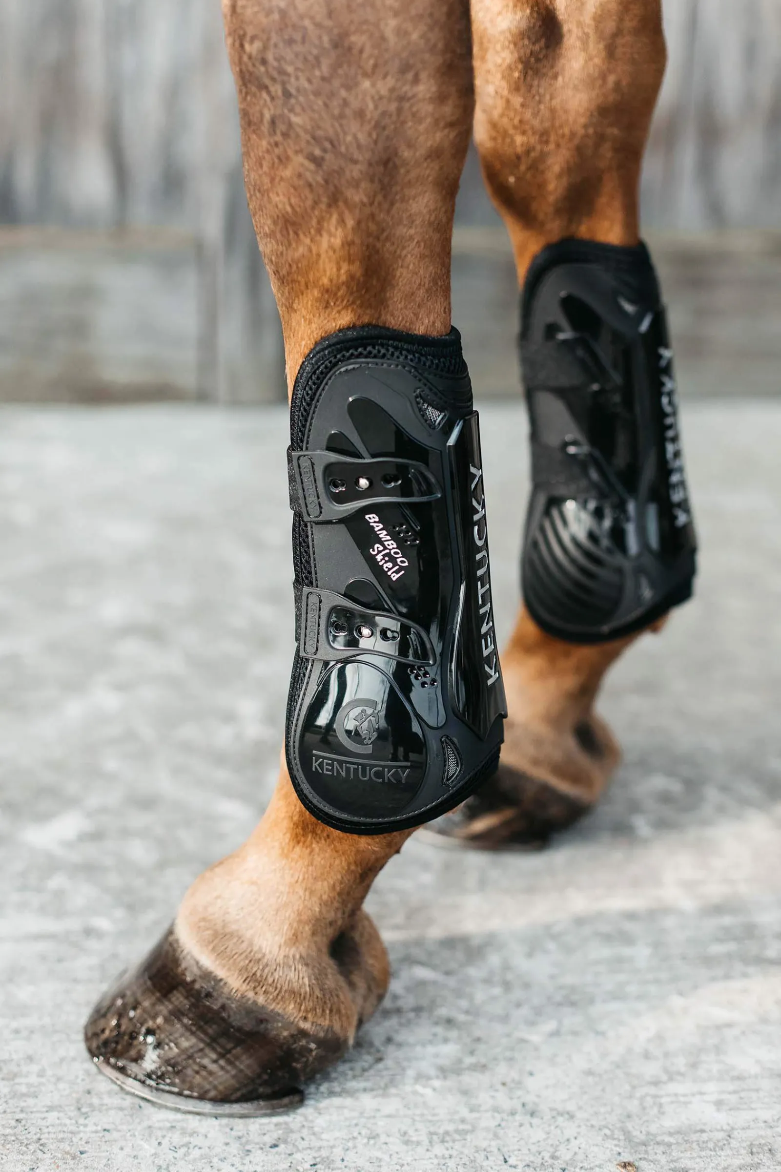 Sale Horsewear Bamboo Elastik Boots Horse Boots
