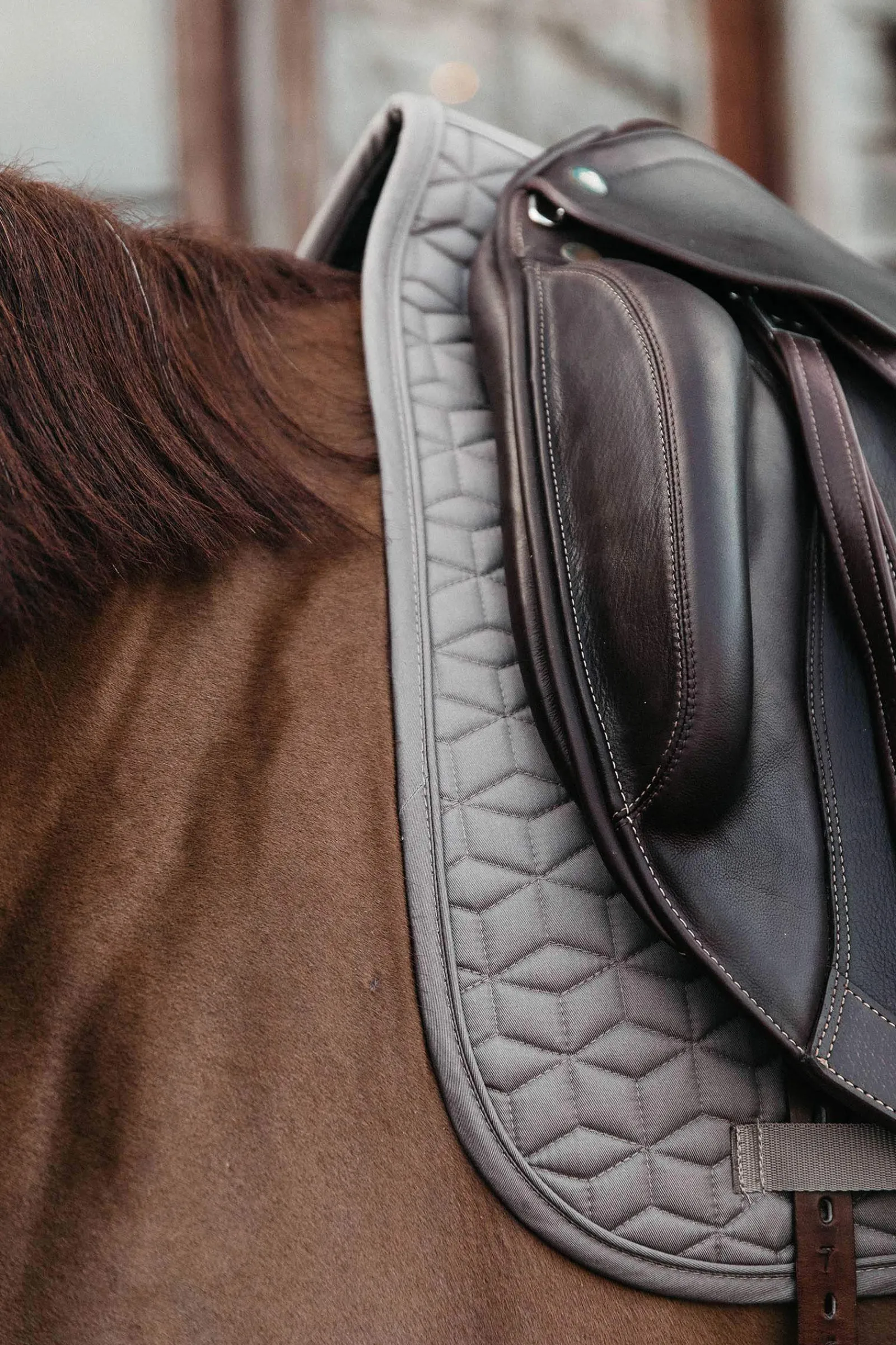 Outlet Horsewear Basic Dressage Saddle Pad Dressage Saddle Pads