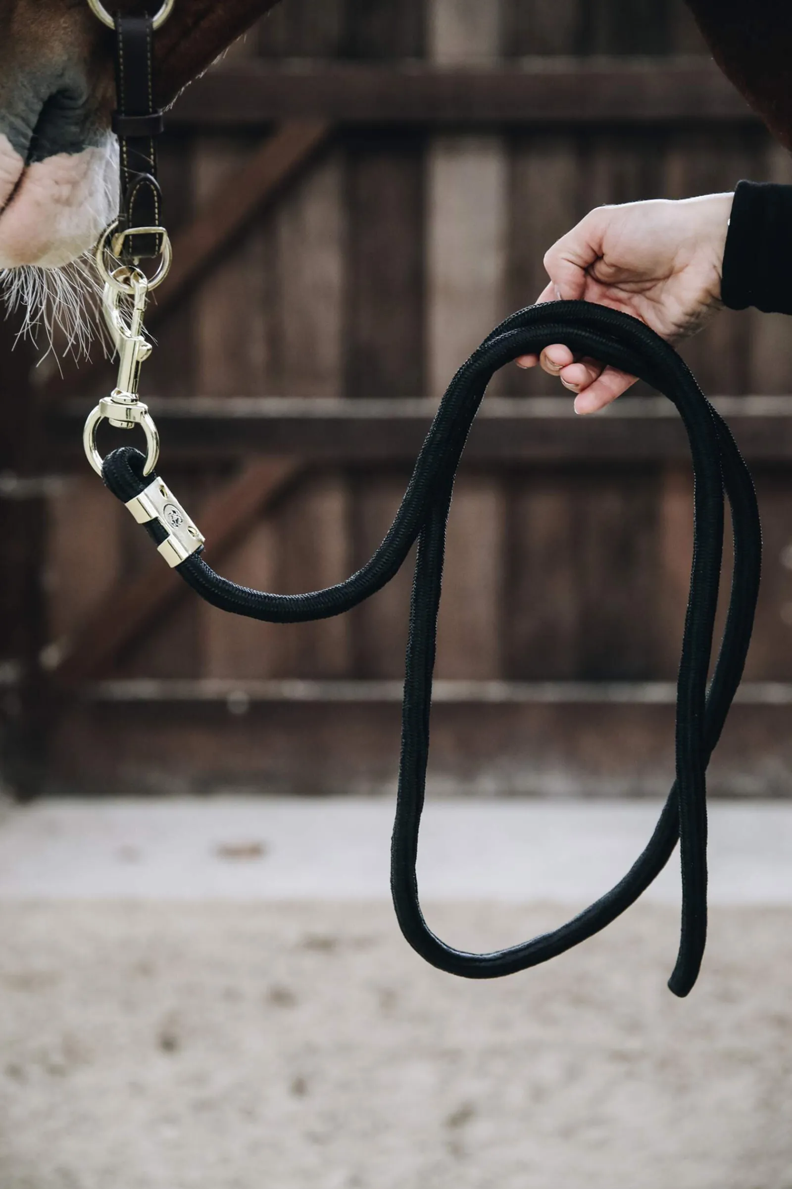 Sale Horsewear Basic Lead Rope 2m Lead Ropes