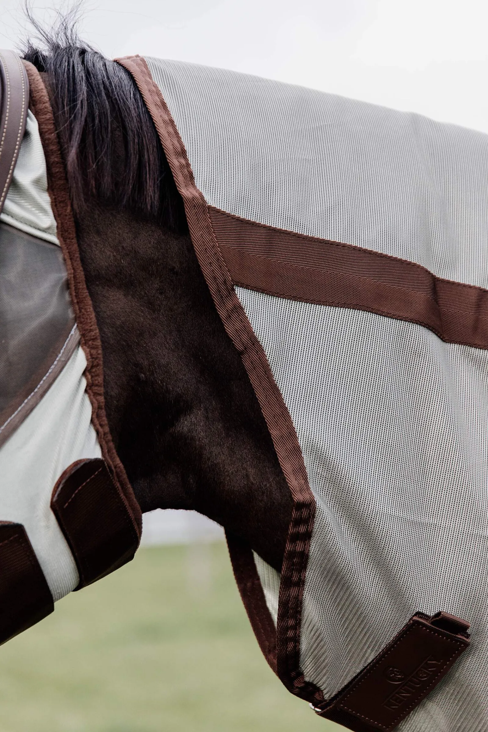 Online Horsewear Classic Mesh Fly Rug Fly Rugs|Fly Rugs