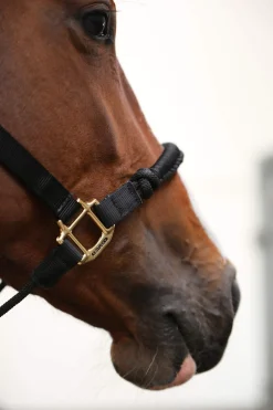 Discount Horsewear Control Halter Headcollars & Halters